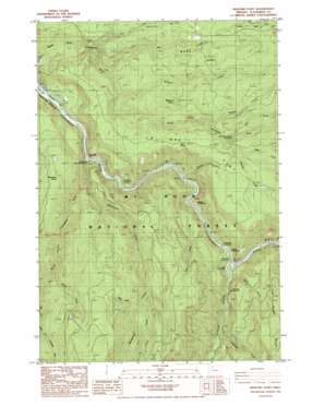 Bedford Point topo map