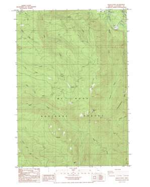 Salmon USGS topographic map 45122c1