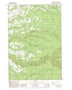 Cherryville USGS topographic map 45122c2