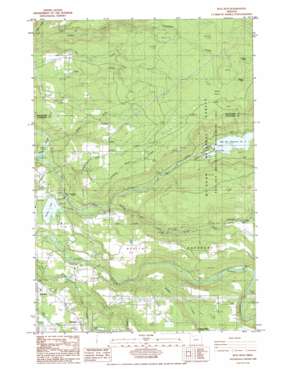 Bull Run USGS topographic map 45122d2