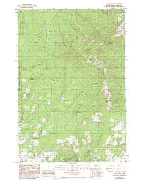 Larch Mountain USGS topographic map 45122f3
