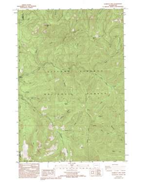 Gumboot Mountain USGS topographic map 45122g2