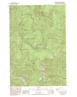 Bare Mountain USGS topographic map 45122h1