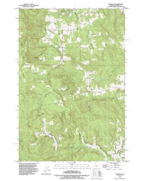 Trenholm USGS topographic map 45122h8