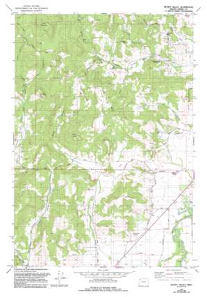 Muddy Valley USGS topographic map 45123b3