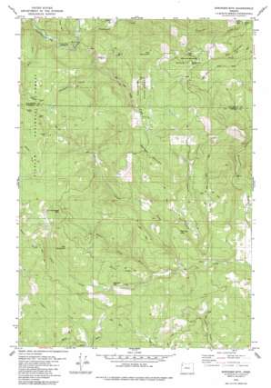 Springer Mountain USGS topographic map 45123b5