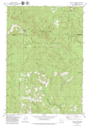 Niagara Creek USGS topographic map 45123b6