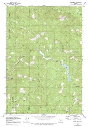 Trask Mountain USGS topographic map 45123c4