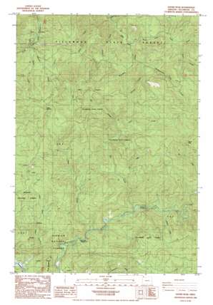 Trask Mountain USGS topographic map 45123c5