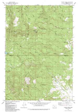 Turner Creek USGS topographic map 45123d3