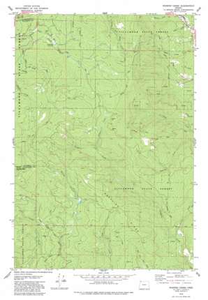 Roaring Creek USGS topographic map 45123e3