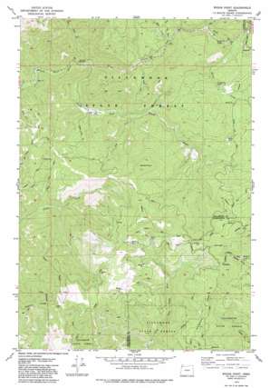 Woods Point USGS topographic map 45123e4