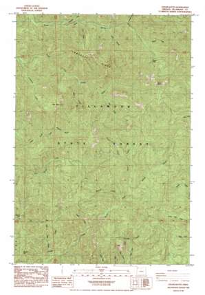 Cedar Butte USGS topographic map 45123e6