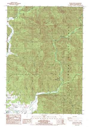 Kilchis River USGS topographic map 45123e7