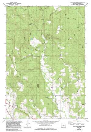 Meacham Corner USGS topographic map 45123f1