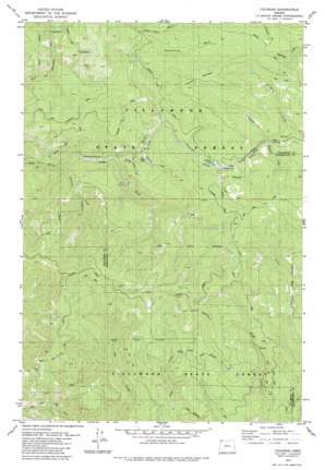 Cochran USGS topographic map 45123f4