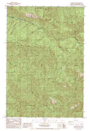 Rogers Peak USGS topographic map 45123f5