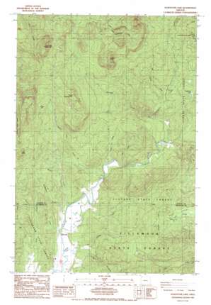 Soapstone Lake USGS topographic map 45123g7