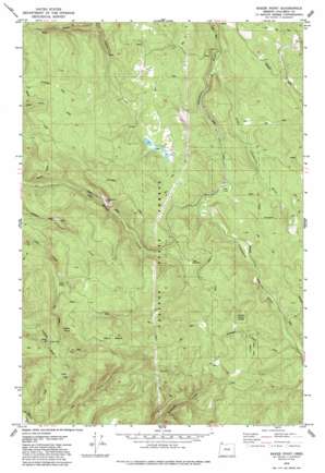 Baker Point USGS topographic map 45123h1