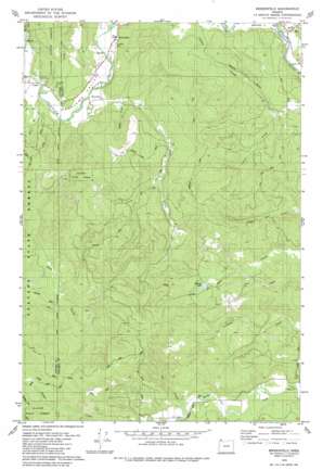 Birkenfeld USGS topographic map 45123h3