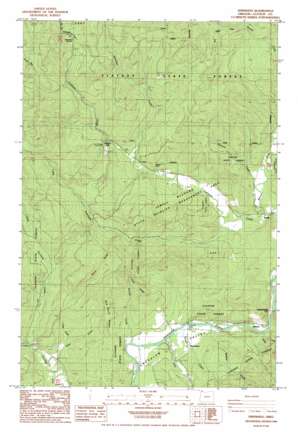 Vinemaple USGS topographic map 45123h5