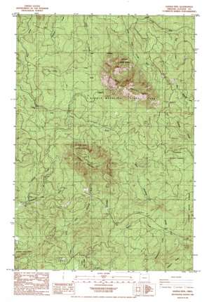 Saddle Mountain USGS topographic map 45123h6