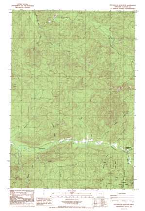 Necanicum Junction USGS topographic map 45123h7