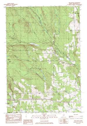 Twin Brook USGS topographic map 46067b8