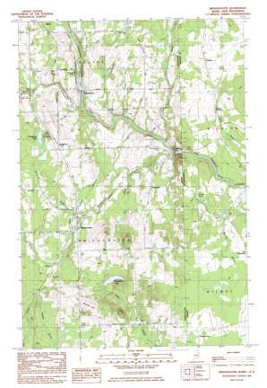 Bridgewater USGS topographic map 46067d7
