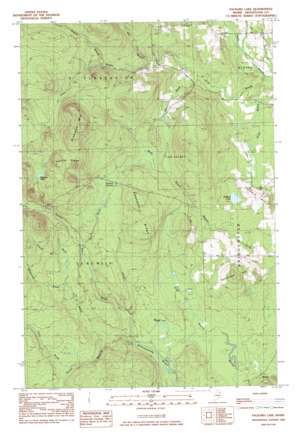 Packard Lake USGS topographic map 46067d8