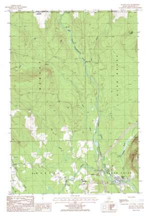 Island Falls USGS topographic map 46068a3