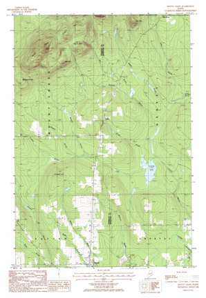 Mount Chase USGS topographic map 46068a4