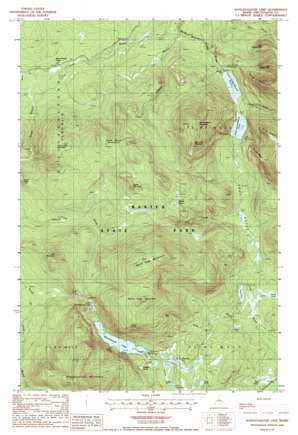 Wassataquoik Lake USGS topographic map 46068a8