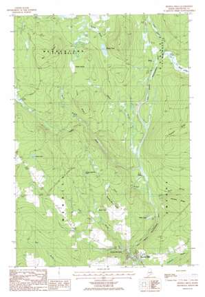 Smyrna Mills USGS topographic map 46068b2