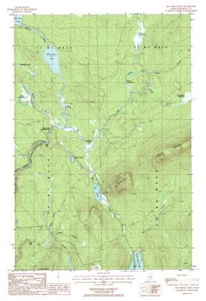 Hay Brook Mountain USGS topographic map 46068b5
