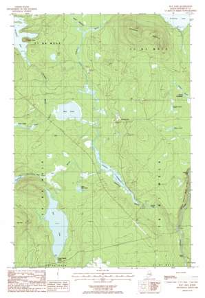 Hay Lake USGS topographic map 46068b6
