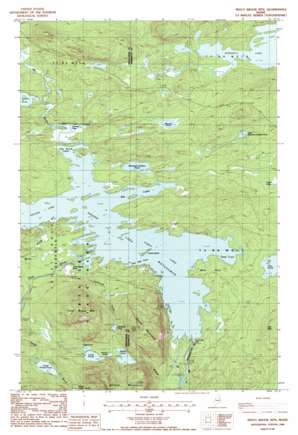 Trout Brook Mountain topo map