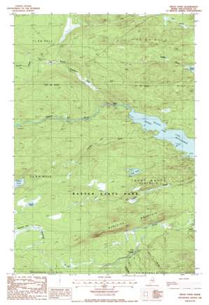 Webster Lake USGS topographic map 46068b8