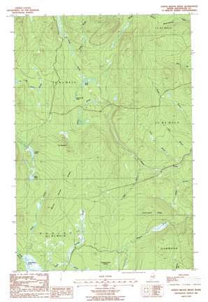 North Brook Ridge USGS topographic map 46068c1