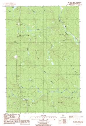 McNally Ridge USGS topographic map 46068c3