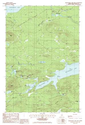 Millinocket Lake West USGS topographic map 46068c8