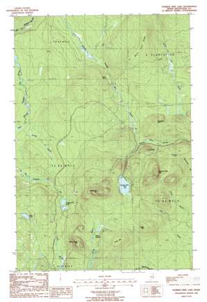 Number Nine Lake USGS topographic map 46068d1