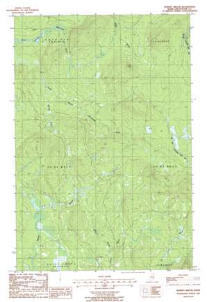Spinney Brook USGS topographic map 46068d2