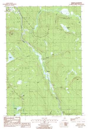 McNally Ridge USGS topographic map 46068d3