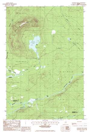 Chandler Mountain USGS topographic map 46068d6