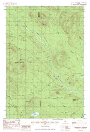 Middle Brook Mountain topo map