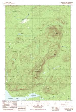 Mooseleuk Mountain USGS topographic map 46068d8