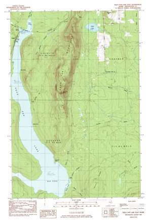 Squapan Lake East USGS topographic map 46068e2
