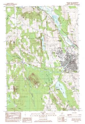Presque Isle USGS topographic map 46068f1