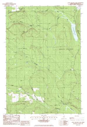 Little Machias Lake USGS topographic map 46068f5